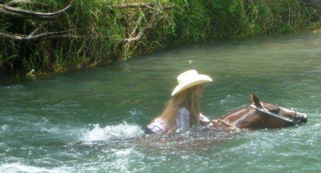 Paseando con los caballos